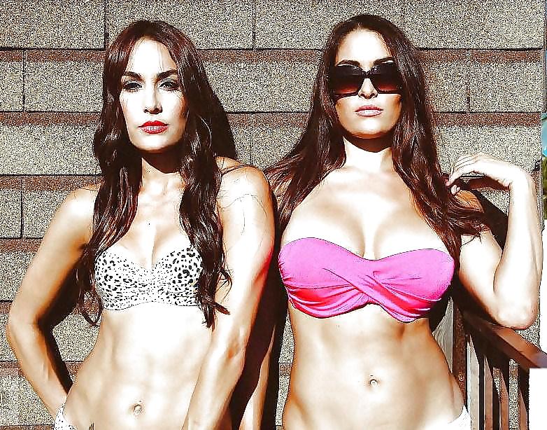Brie and Nikki, the Bella Twins - WWE Diva mega collection #7113863