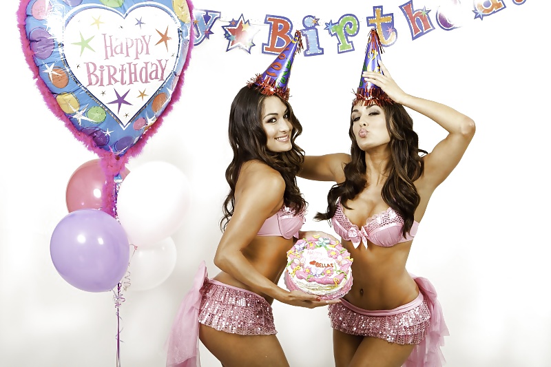 Brie and Nikki, the Bella Twins - WWE Diva mega collection #7113951