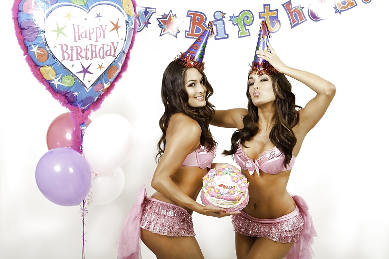 Brie Et Nikki, Les Jumeaux Bella - Diva Wwe Mega Collection #7113951