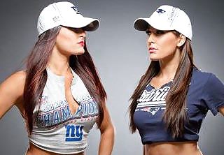 Brie and Nikki, the Bella Twins - WWE Diva mega collection #7114281