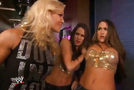 Brie Et Nikki, Les Jumeaux Bella - Diva Wwe Mega Collection #7114410