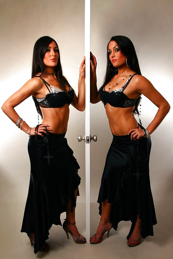 Brie and Nikki, the Bella Twins - WWE Diva mega collection #7114442