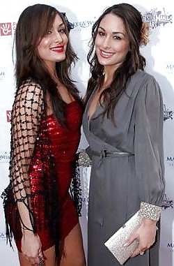 Brie and Nikki, the Bella Twins - WWE Diva mega collection #7114949