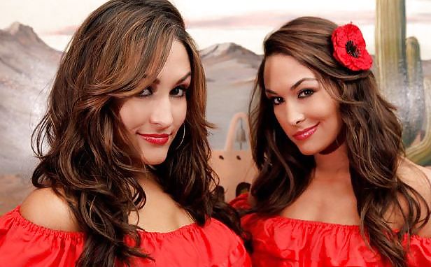 Brie and Nikki, the Bella Twins - WWE Diva mega collection #7115078