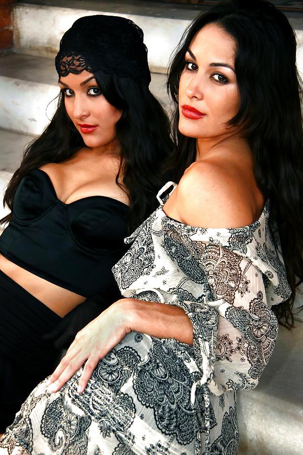 Brie and Nikki, the Bella Twins - WWE Diva mega collection #7115327