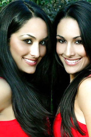 Brie Et Nikki, Les Jumeaux Bella - Diva Wwe Mega Collection #7115344
