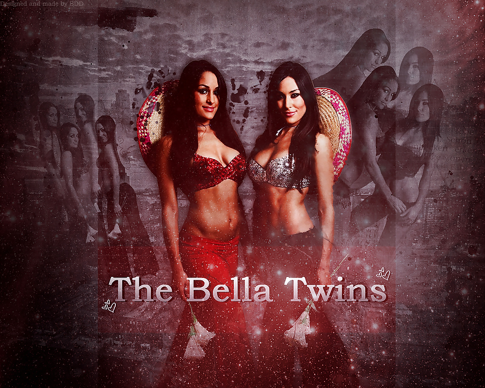 Brie Et Nikki, Les Jumeaux Bella - Diva Wwe Mega Collection #7115402