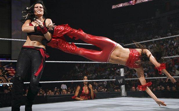 Brie and Nikki, the Bella Twins - WWE Diva mega collection #7115510