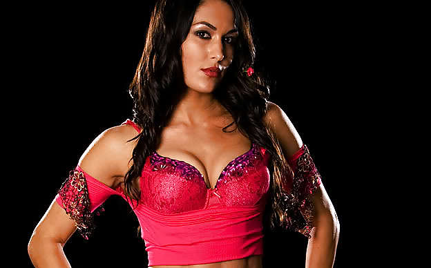 Brie and Nikki, the Bella Twins - WWE Diva mega collection #7115524