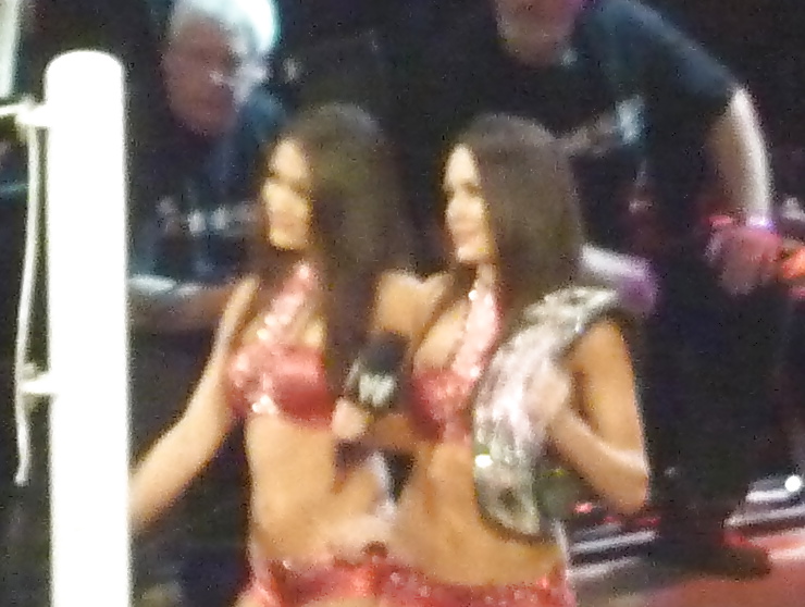 Brie and Nikki, the Bella Twins - WWE Diva mega collection #7115617