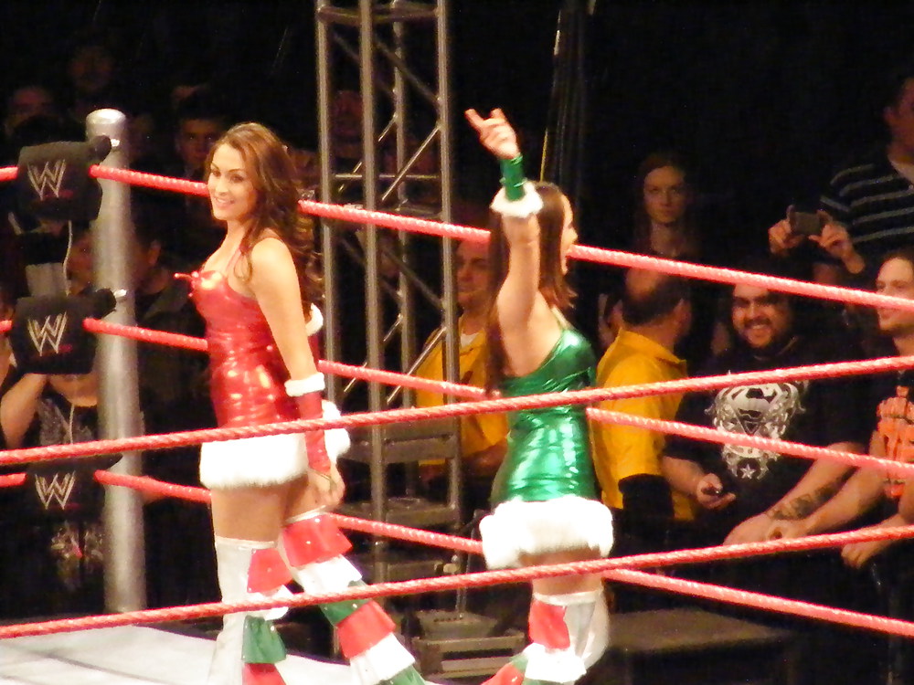 Brie Und Nikki, Die Bella Twins - Wwe Diva Mega Collection #7115701