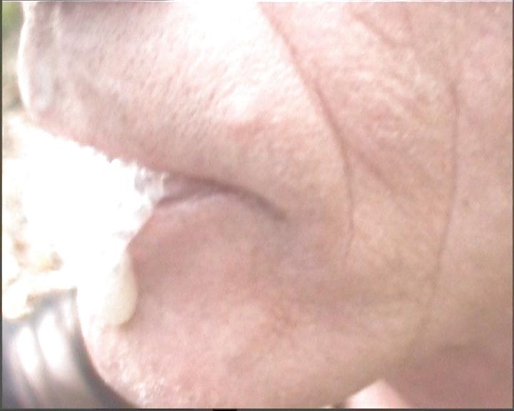 In the wood #4078983