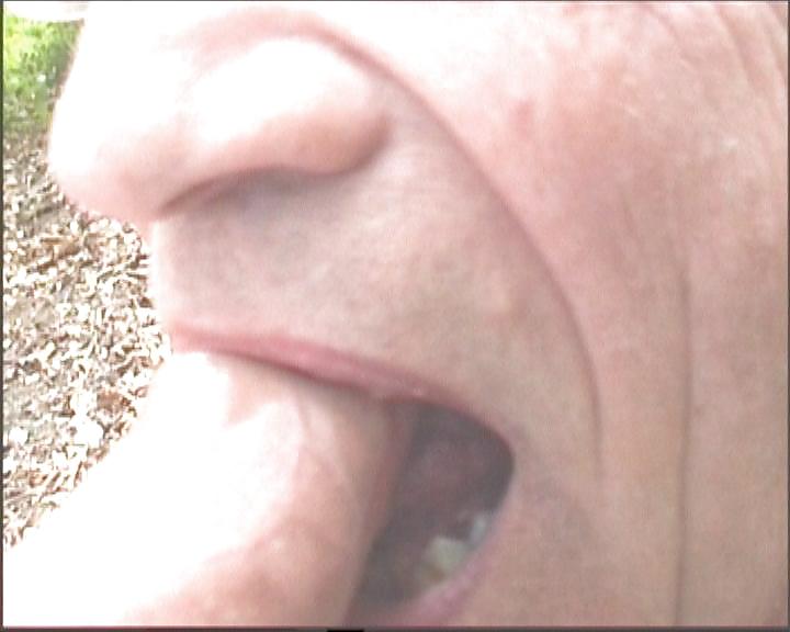 In the wood #4079221