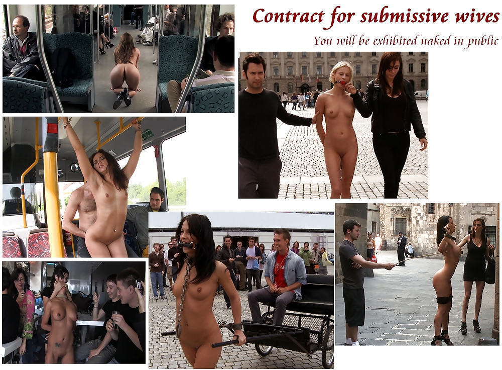 Contract for submissive wives #6657985