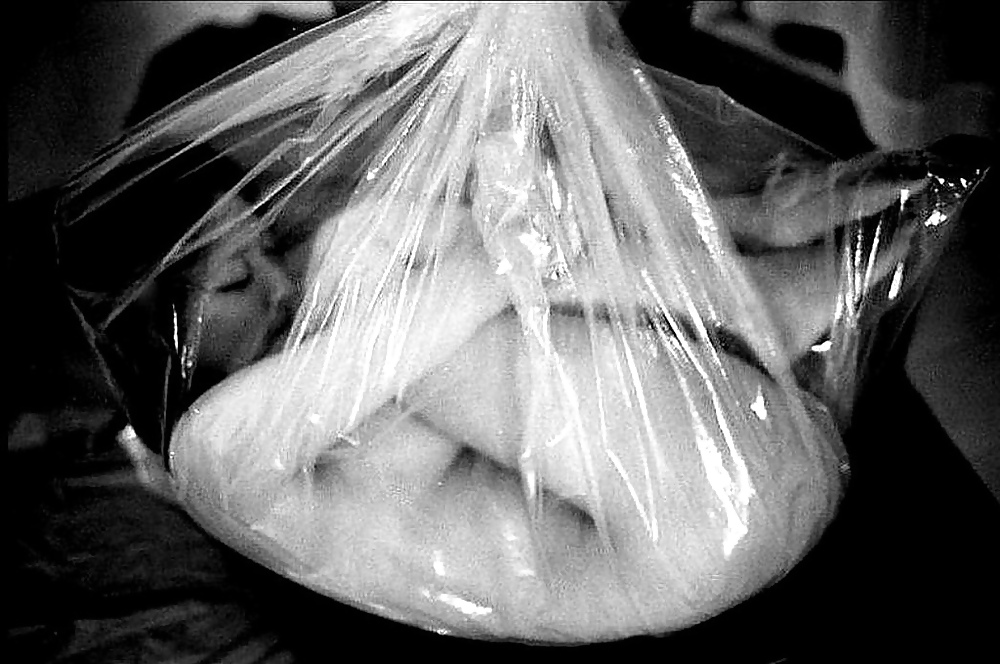 Petgirl transporte 2
 #11083080