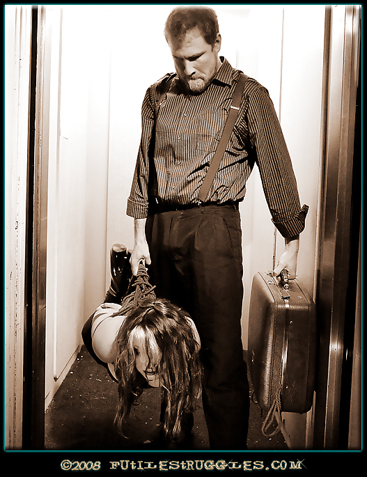 Petgirl transporte 2
 #11083131