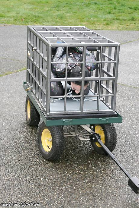 Petgirl transporte 2
 #11083145