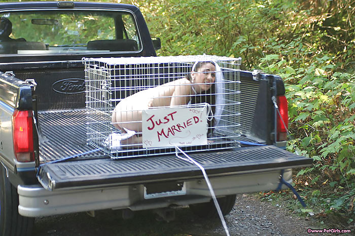 Petgirl transporte 2
 #11083149