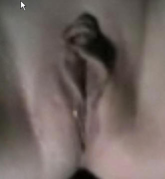 Votzen, Muschis #9959686