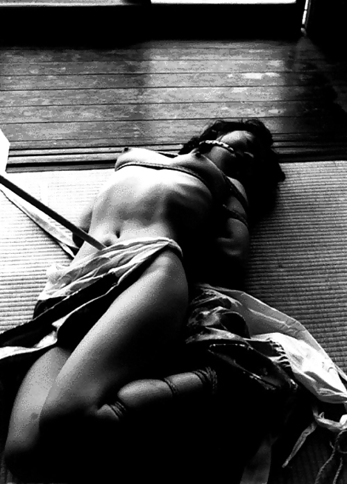 Japanese Femme Bondage #15962380