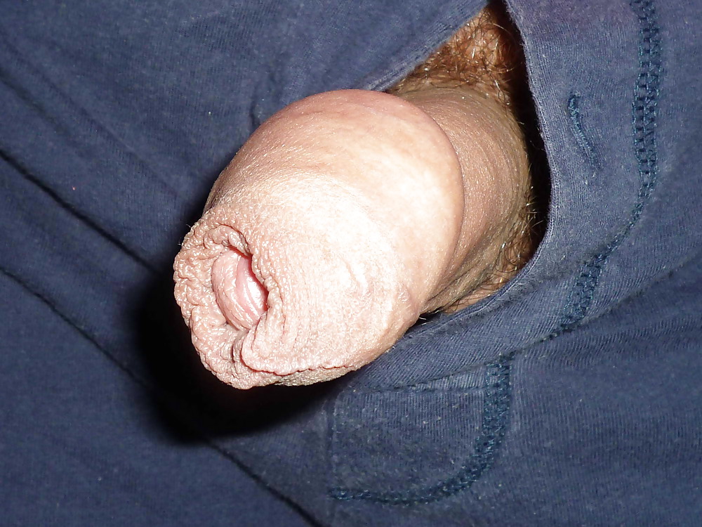 Penis with foreskin #9786430