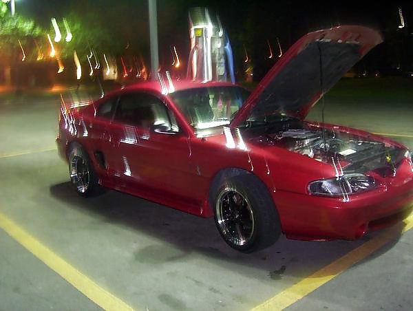 The cobra #13685102