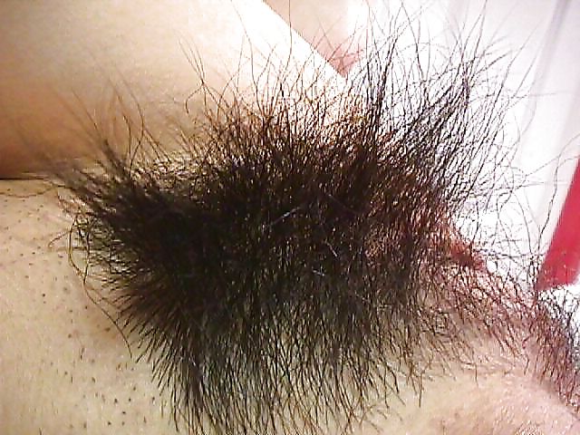 KEY - Hairy Women Pussy 23 #17666128