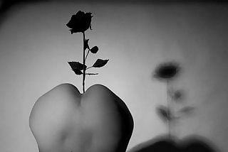 Found: flowers #4558541