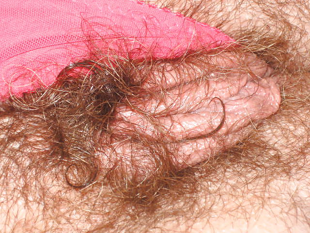 hairy sexy mature women #3167636