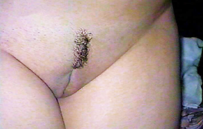 Mexican Wife Hairy #750553