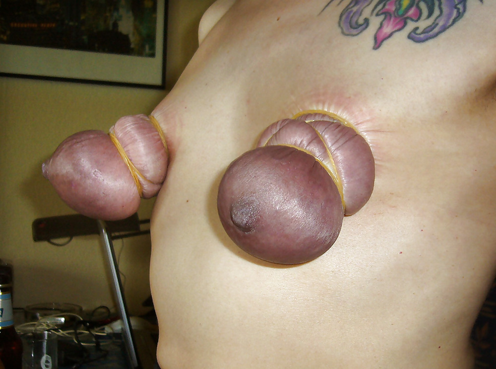 Tits experiments #1592396