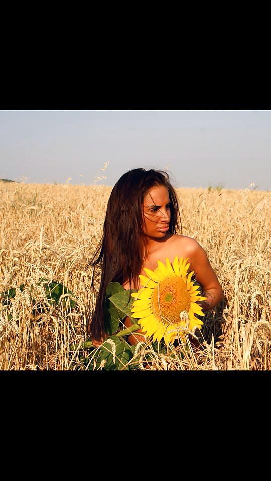 Ralitsa dimitrova
 #19312565