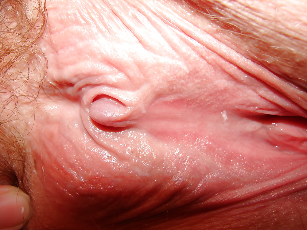 Yummy Pussy #4558459