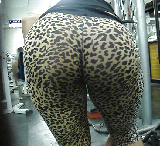 For the tights Lovers Gym fat asses 5 #6056192