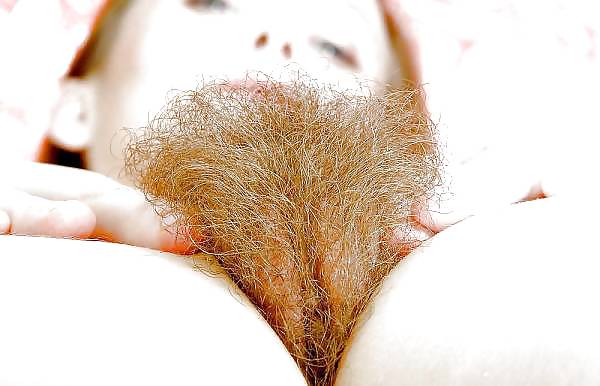 For al the hairy cunt lovers #4614309