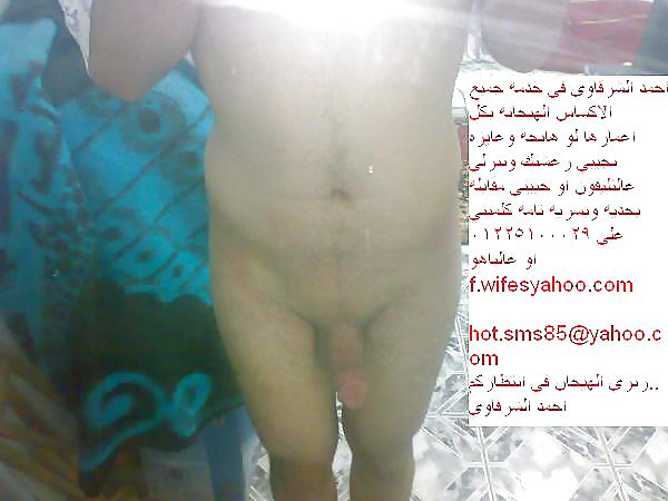 Meine Arabischen Hahn 4 Alle Womn 01225100029 #9402426