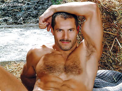 アルパド・ミクロス
 #17887244