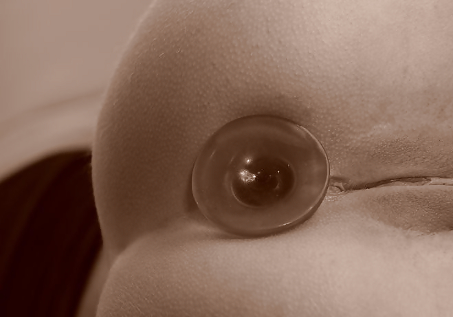 .. noch mehr pics
 #11647643