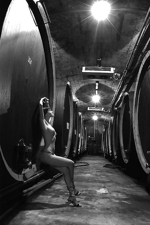 Grape harvests... #14131913