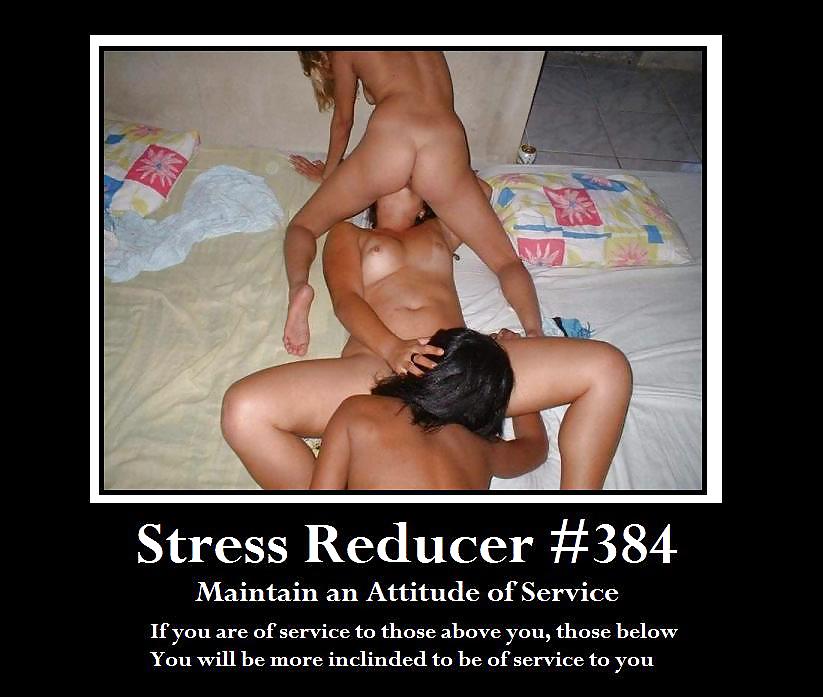 Funny Stress Reducers 379 to 400 73112 #10462452