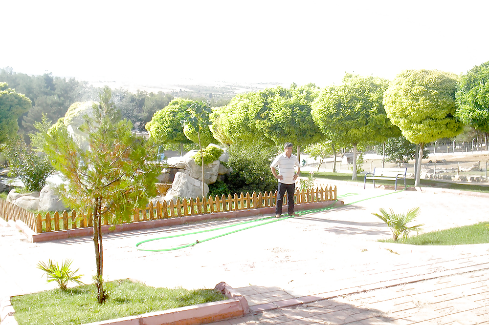 メルハバ 
 #15538581