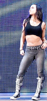 AJ Lee WWE Diva mega collection  #16116706