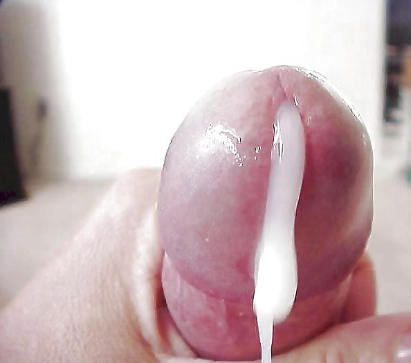 COCK PENIS #9639314