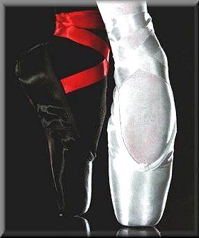 Dark White and Purple