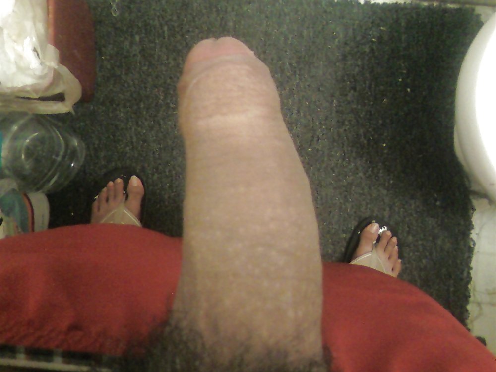 Cock #1047076