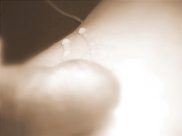 A little bit more...