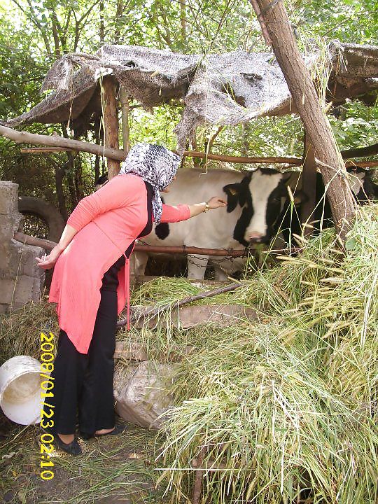 Turkish turbanli hijab arab buyuk album #8956874