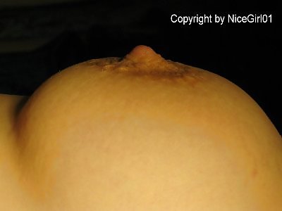 Vorschaubilder von MDH #3889013