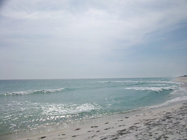 Gulf of Mexico #7403652