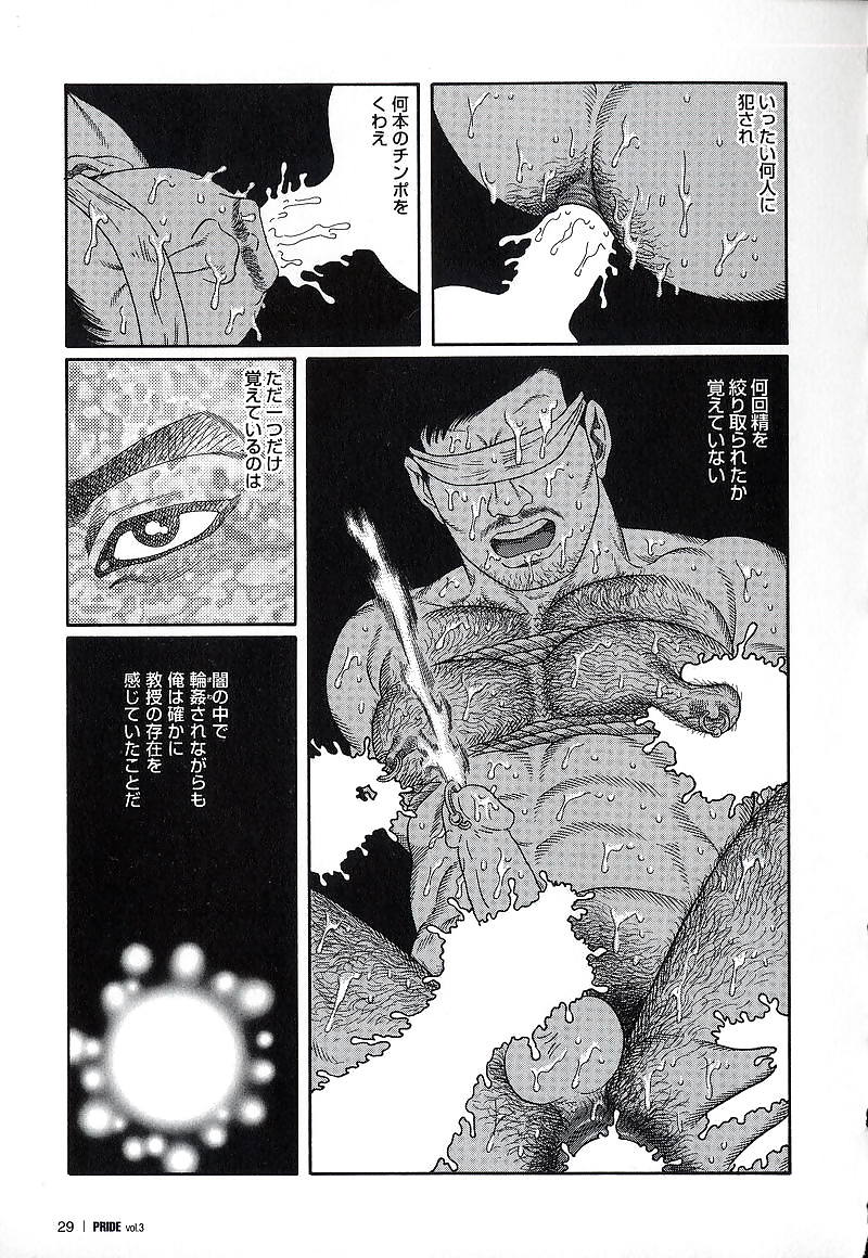 プライド 3
 #7968676